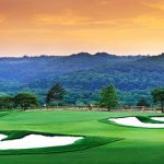 Moore Park Golf – closest public access course to Sydney