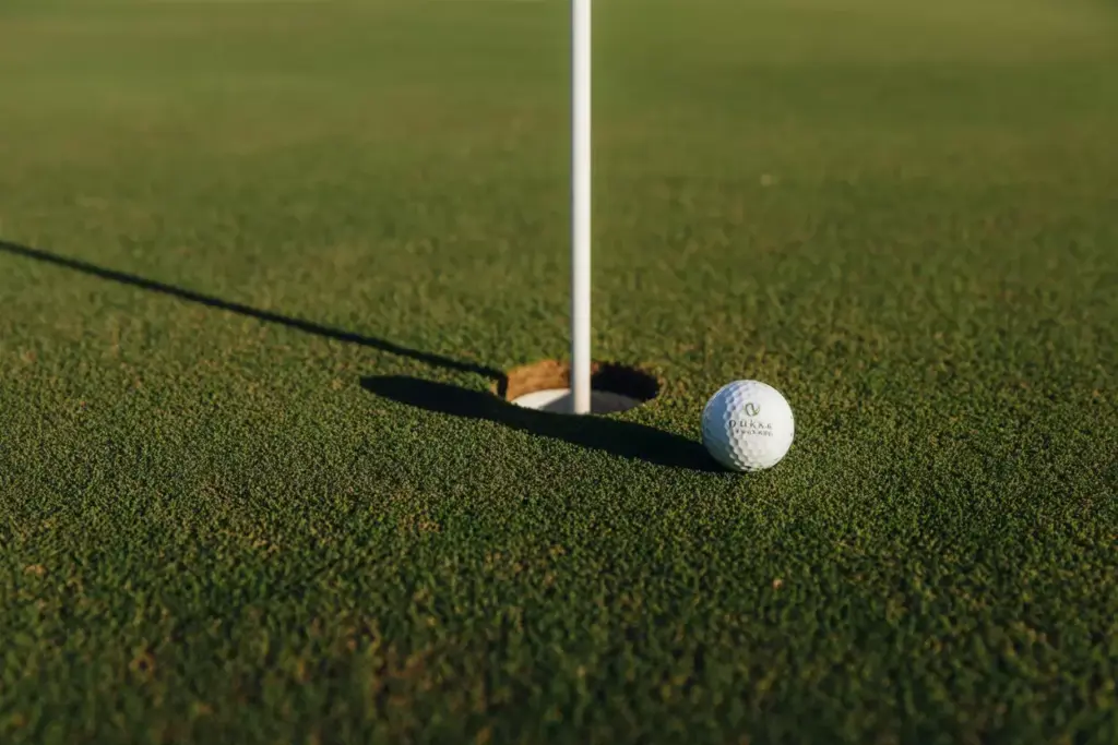 Tournament Quality Conditions Year Round Macro Shot Of Perfect Green