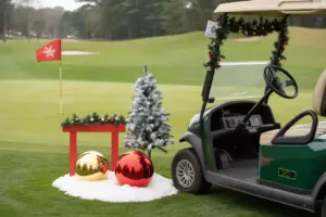 Read more about the article 8 Festive Ideas for a Holiday Golf Party Everyone Will Remember