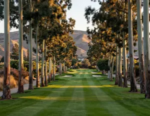 Read more about the article 9 Most Beautiful Golf Courses in the World: A Visual Bucket List