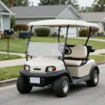 8 Key Features of the Evolution Classic Golf Cart Reviewed: A Complete 2026 Analysis