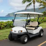 9 Must-Know Facts About Hawaii Golf Carts for a Perfect Round