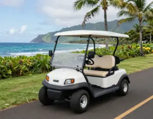 Read more about the article 9 Must-Know Facts About Hawaii Golf Carts for a Perfect Round